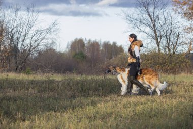 Güzel bir kız - bir avcı köpekler, Rus tazı ile portresi