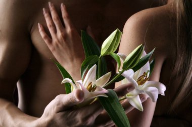 Beyaz nilüferlerin ellerinde, arka plandaki karanlık arka planda çıplak bir gövdenin arka planına yakın plan.