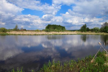 Pürüzsüz bir yüzeyi olan sakin bir nehir ve güneşli bir günde yeşil sisli genç yapraklar içinde ağaçlar. 