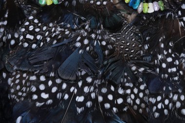 Tüylerle, nakışlarla, stüdyoda boncuklarla süslenmiş makro doku parçası kostümü.