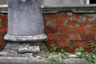 Eski bir çökmekte bina, Vakfı, sütun ve bitkiler parçası