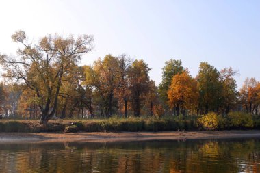 Sonbahar manzarası, güneşli bir sabahta nehirdeki ormanın yansıması.