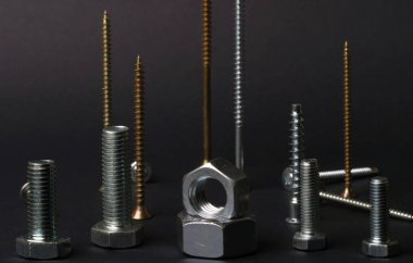 makro vida ve somunlar