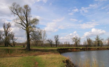 Peyzaj nehri Toima ve meşe koruluğu ilkbaharın başlarında güneşli bir günde