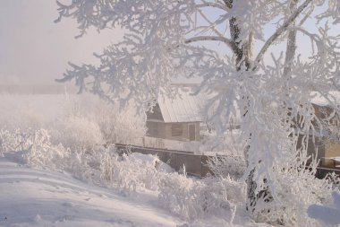 Kış manzarası ağaçları donmak üzere olan nehirle kaplı açık bir gün.