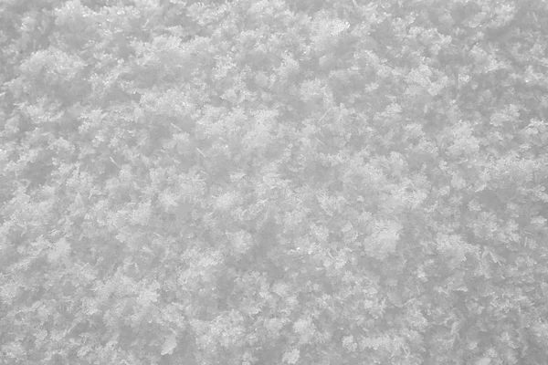 Macro Texture Fond Neige Propre Étincelante Dans Champ Aube — Photo