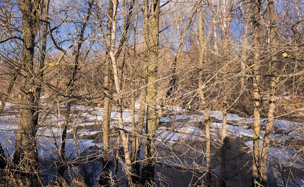 Frühlingslandschaft Mit Fiasko Fluss Wald Und Wolken Blauen Himmel — Stockfoto