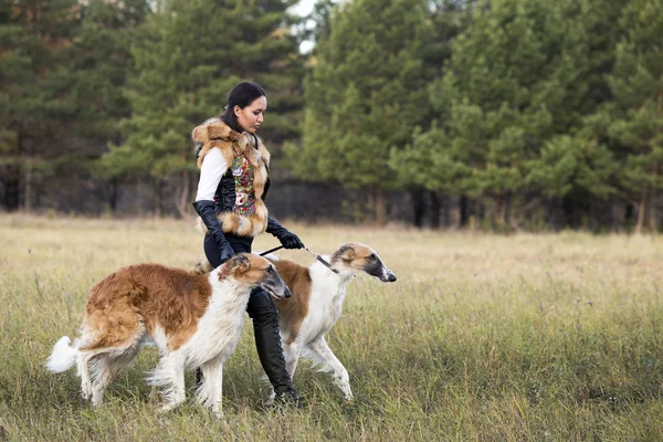 Portret Van Een Mooi Meisje Een Jager Met Honden Russische — Stockfoto