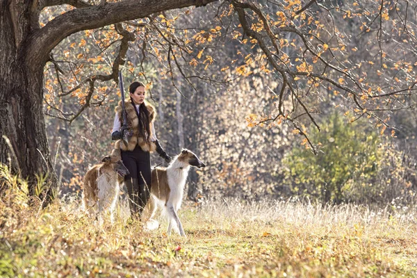 Portret Van Een Mooi Meisje Een Jager Met Honden Russische — Stockfoto