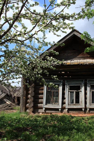 Oud Log Verlaten Huis Aan Rand Van Het Dorp Het — Stockfoto