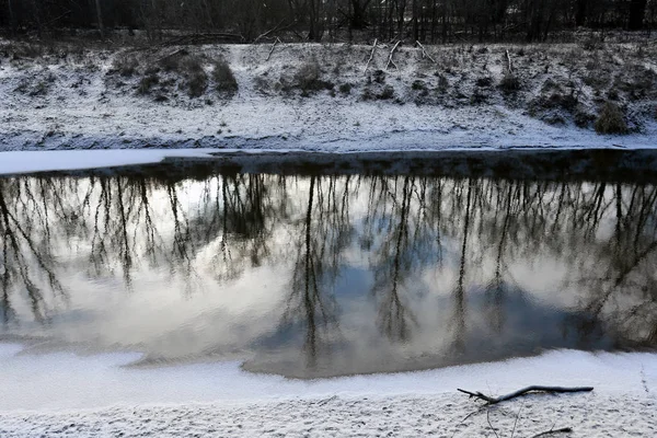 Schöne Winterlandschaft Reflexion Der Bäume Wasser Ruhigen Fluss Einem Bewölkten — Stockfoto