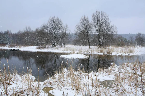 Landscape Spring Thaw River Forest Early Spring Cloudy Day — Stock Photo, Image