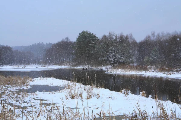 Jarní Tání Řece Poblíž Lesa Předjaří Zamračený Den Krajina — Stock fotografie