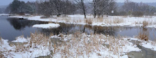 Landscape Spring Thaw River Forest Early Spring Cloudy Day — Stock Photo, Image