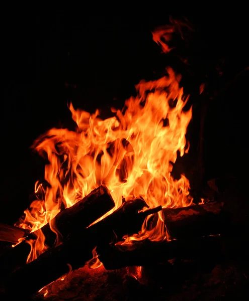 밤중에 모닥불을 피우는 — 스톡 사진