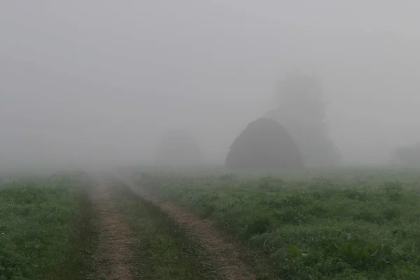 Landschaft Aus Dichtem Nebel Auf Dem Feld Bei Sonnenaufgang Spätsommer — Stockfoto