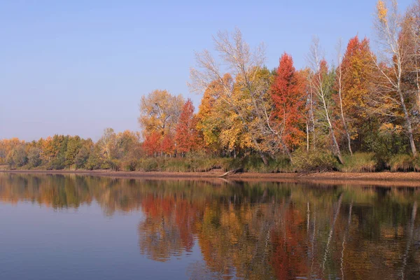 Höst Landskap Reflektion Skogen Floden Solig Morgon — Stockfoto