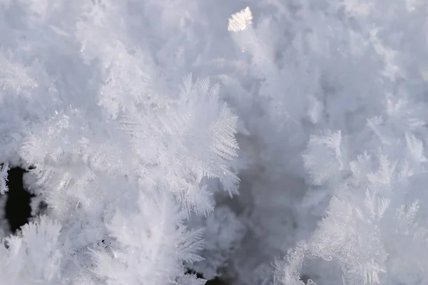 Macro Sneeuw Rijm Bedekt Met Zonlicht — Stockfoto