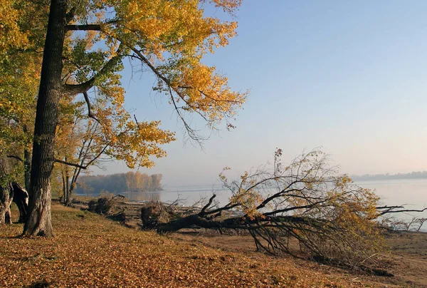 Φθινοπωρινό Τοπίο Χωματόδρομος Κατά Μήκος Της Όχθης Του Ποταμού Κοντά — Φωτογραφία Αρχείου