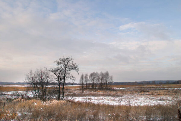 landscape meadow near the forest covered with the first snow in early winter