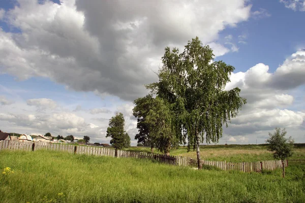 Letní Krajina Krásné Zatažené Obloze Nad Louku Bříza Plot Okraji — Stock fotografie