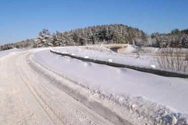 Güneşli bir günde, çam ormanının yakınındaki karlı yolun kış manzarası.