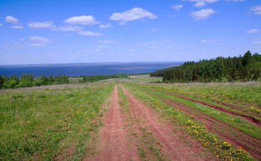 kırsal toprak yol ufuk forest yakınındaki bir çayır boyunca güneşli bir günde önde gelen bahar peyzaj