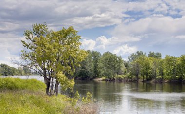 Yaz manzarası güzel kümülüs bulutları sakin bir nehir ve güneşli bir günde sahilde yeşil ağaçlar.