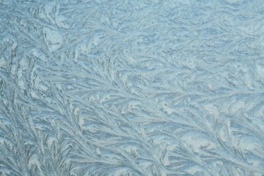 makro güzel karmaşık buz desenleri cam üzerinde