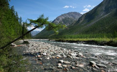 Muhteşem dağ manzarası nehri, orman ve yazın bulutlu gökyüzü.