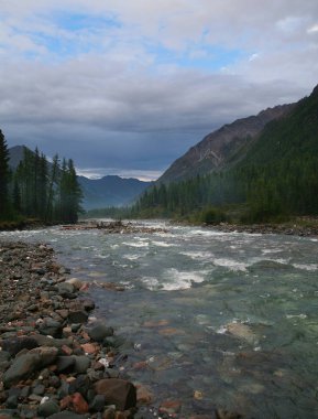 Muhteşem dağ manzarası nehri, orman ve yazın bulutlu gökyüzü.