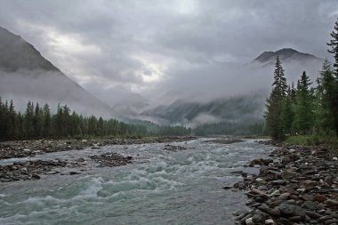 Muhteşem dağ manzarası nehri, orman ve yazın bulutlu gökyüzü.