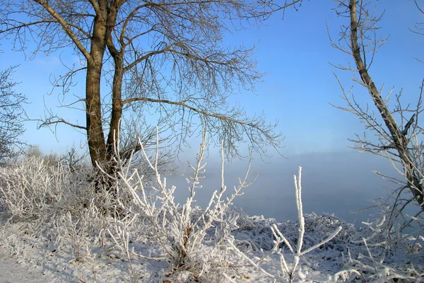 Winter Landscape Frosty Misty Morning River Trees Hoarfrost — Stock Photo, Image