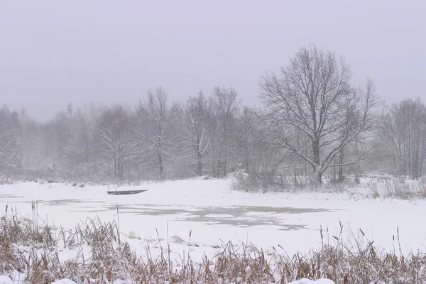 曇り空の日が続く森の近くの畑の豪雪の冬の風景 — ストック写真