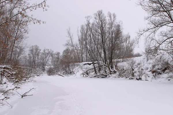 Paesaggio Invernale Del Fiume Sotto Ghiaccio Alberi Hoarfrost Sulla Riva — Foto Stock