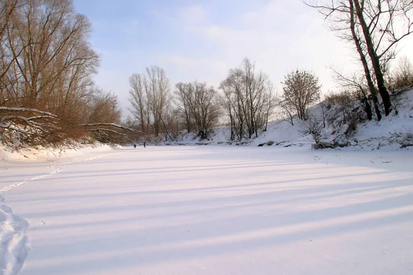 Winter Landscape Icy River Leafless Trees Shore Sunny Cold Day — Stock Photo, Image