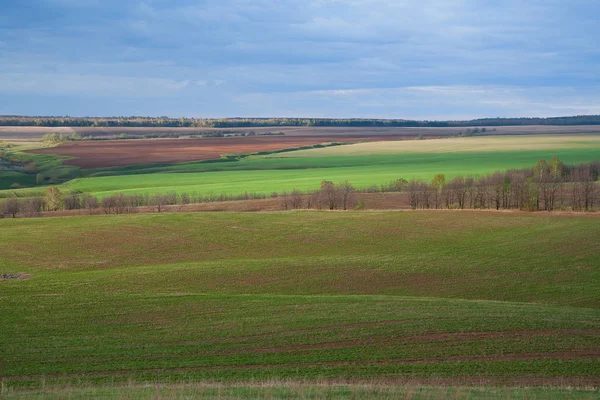 Vacker Vår Landskap Gröna Fält Och Åkermark Och Molnig Himmel — Stockfoto