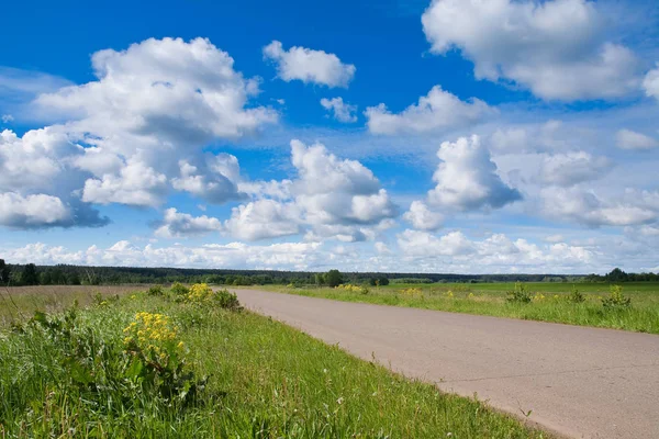 Summer Landscape Road Leading Horizon Field Woods Beautiful Clouds Blue — Stock Photo, Image