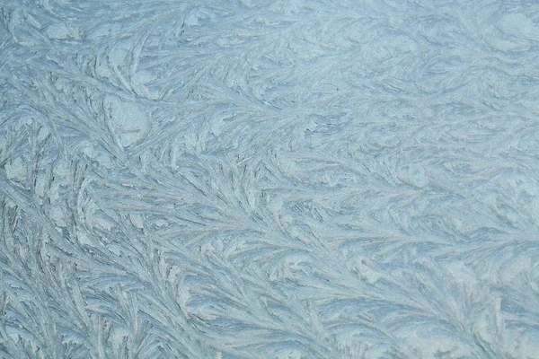 Macro Beautiful Intricate Patterns Frost Glass — Stock Photo, Image