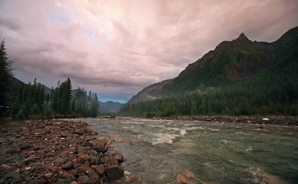 Magnífica Paisagem Montanhosa Rio Floresta Céu Nublado Verão — Fotografia de Stock