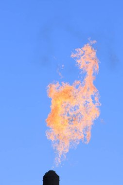 Mavi gökyüzüne karşı yanan bir meşale.