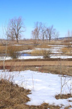 Manzara erken alanında güneşli bir bahar 