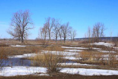 Manzara erken alanında güneşli bir bahar 