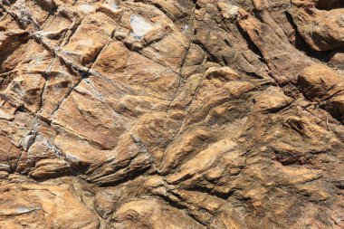 Güneş ışığında izole edilmiş makro doku kıyı kayalıkları