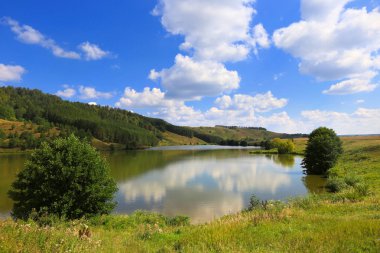 Yaz manzara sessiz nehir kenarında ormanın güneşli bir günde bir tepe üzerinde