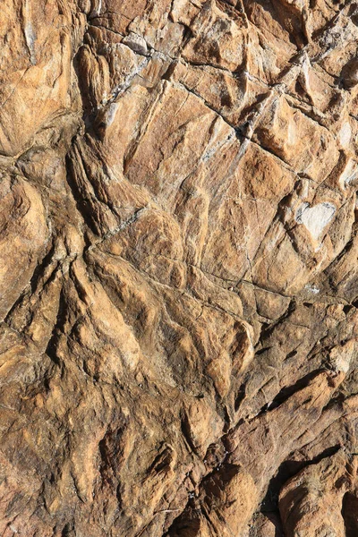 Güneş Işığında Izole Edilmiş Makro Doku Kıyı Kayalıkları — Stok fotoğraf