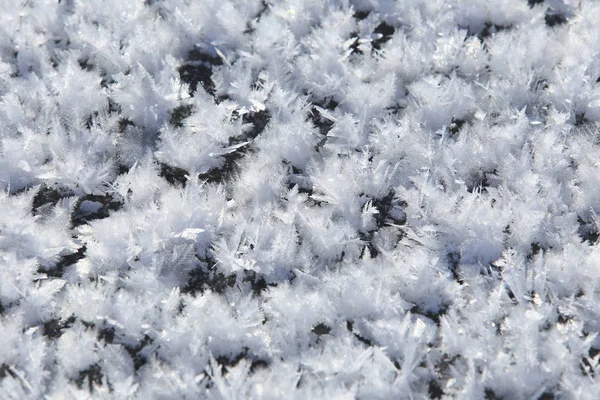 Macro Textura Aislada Nieve Sol —  Fotos de Stock