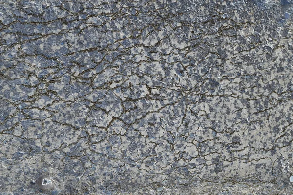 Macrotextura Fragmento Laje Concreto Com Rachaduras Luz Solar Inverno — Fotografia de Stock