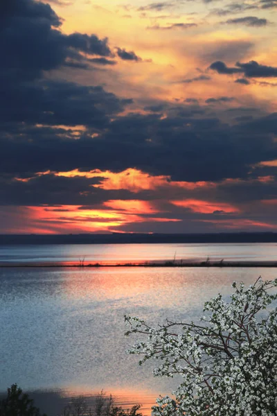 Manzanos Florecientes Orilla Del Río Atardecer — Foto de Stock