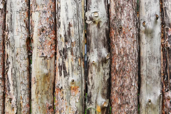 Fragmento Textura Close Uma Cerca Feita Toras Luz Natural — Fotografia de Stock